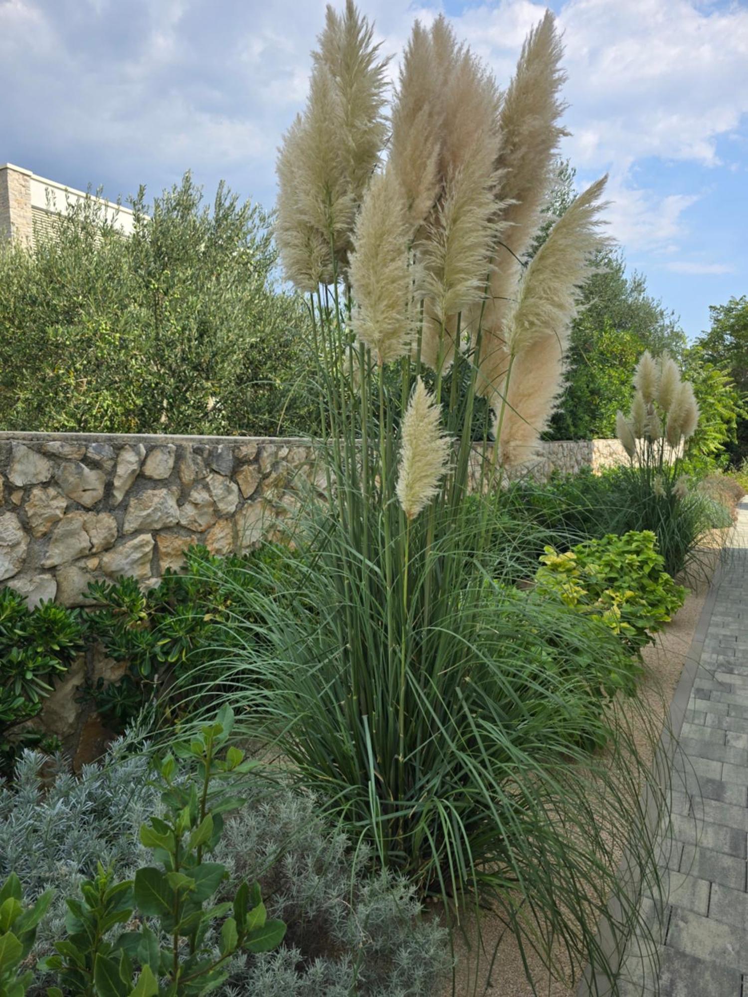 נובליה Rimac Apartments מראה חיצוני תמונה